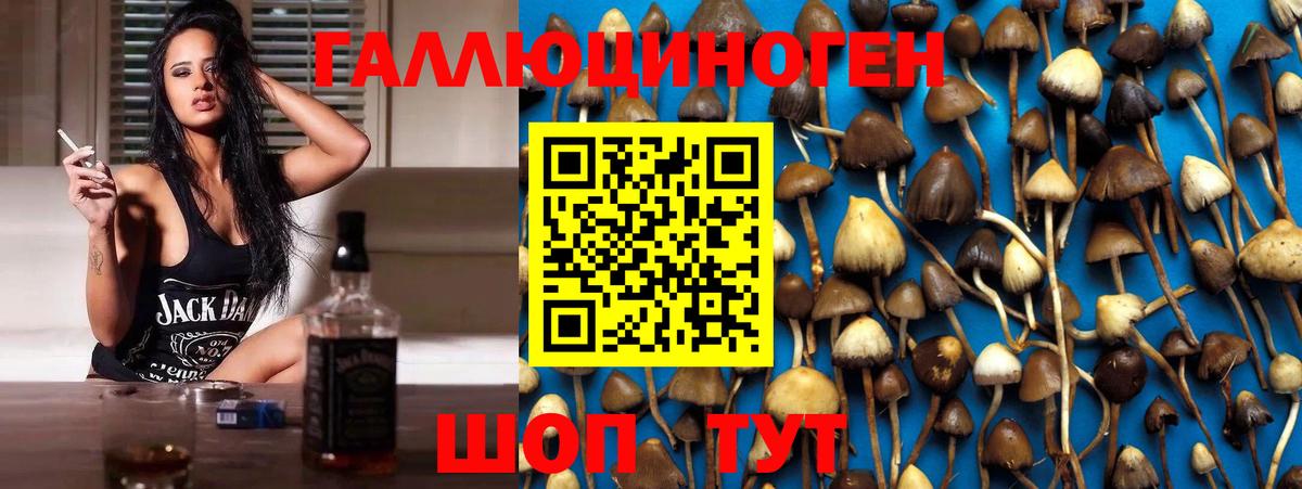 APVP Норильск