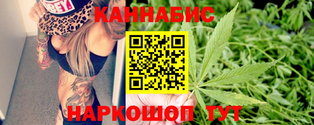 Бошки марихуана план Норильск